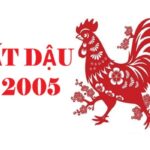 tu-vi-tuoi-at-dau-2005