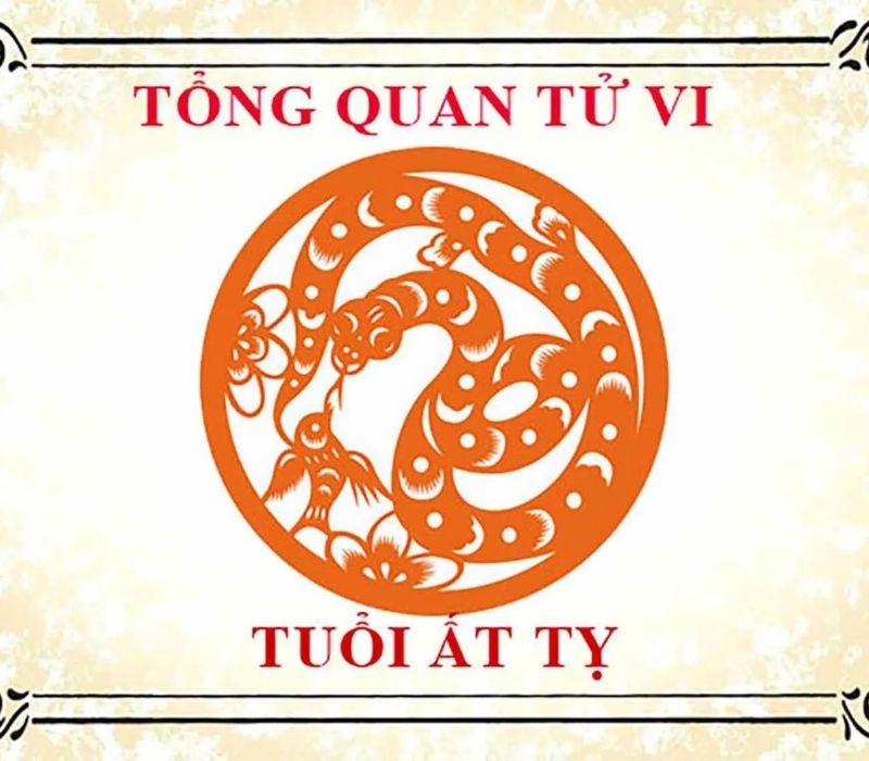 tu-vi-tuoi-at-ty-1965-1