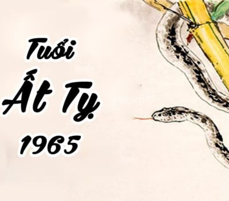 tu-vi-tuoi-at-ty-1965