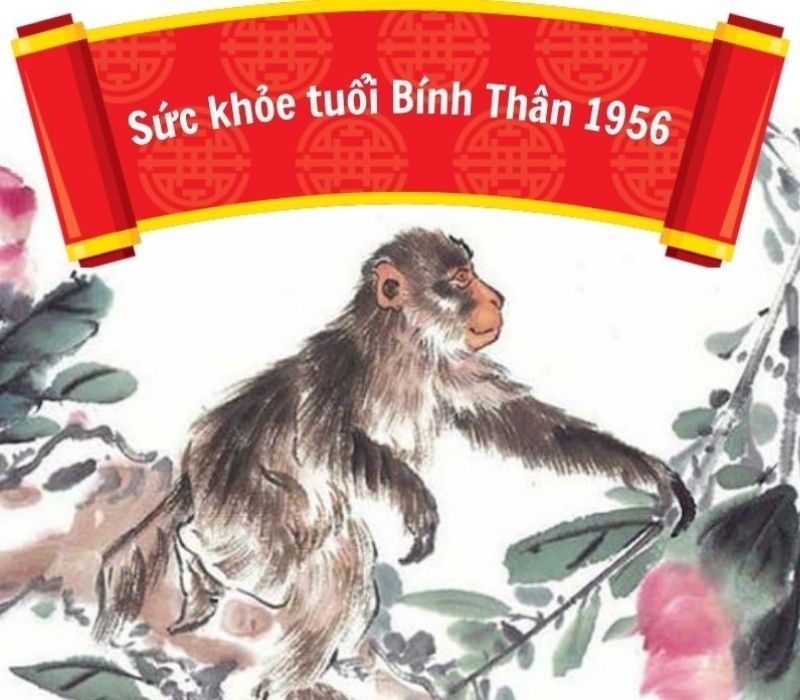 tu-vi-tuoi-binh-than-1956-2