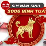 tu-vi-tuoi-binh-tuat-2006