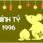 tu-vi-tuoi-binh-ty-1996