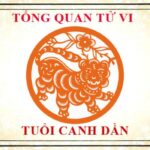 tu-vi-tuoi-canh-dan-2010