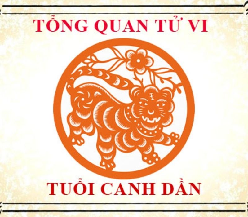 tu-vi-tuoi-canh-dan-2010