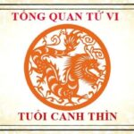 tu-vi-tuoi-canh-thin-2000