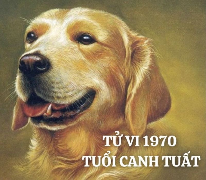 tu-vi-tuoi-canh-tuat-1970-1