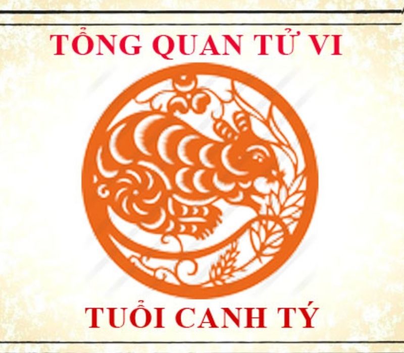 tu-vi-tuoi-canh-ty-2020-1