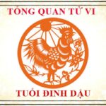 tu-vi-tuoi-dinh-dau-2017