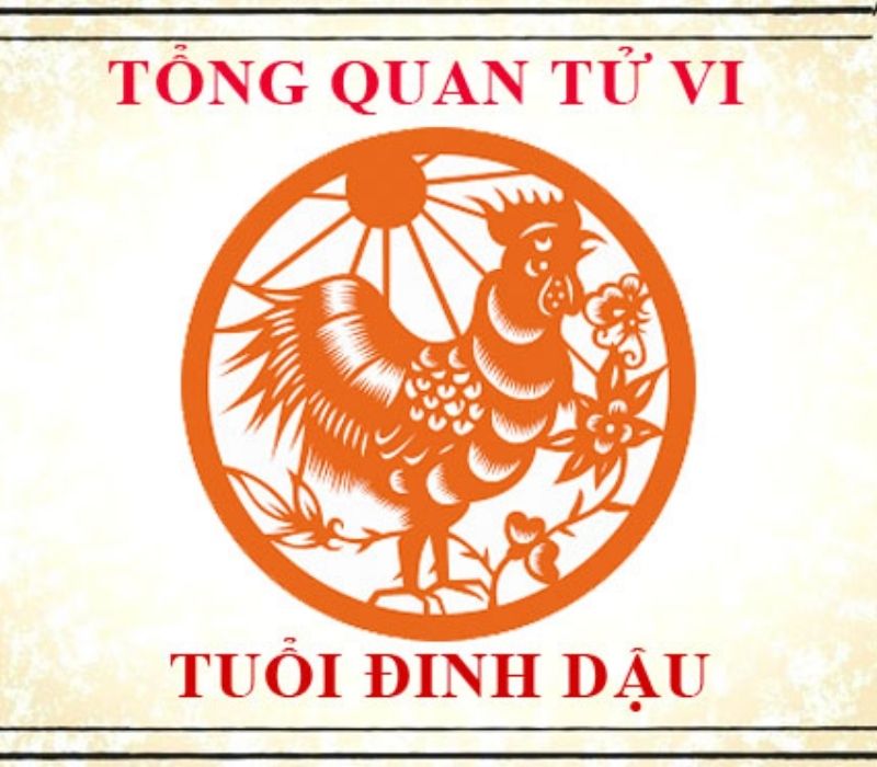 tu-vi-tuoi-dinh-dau-2017