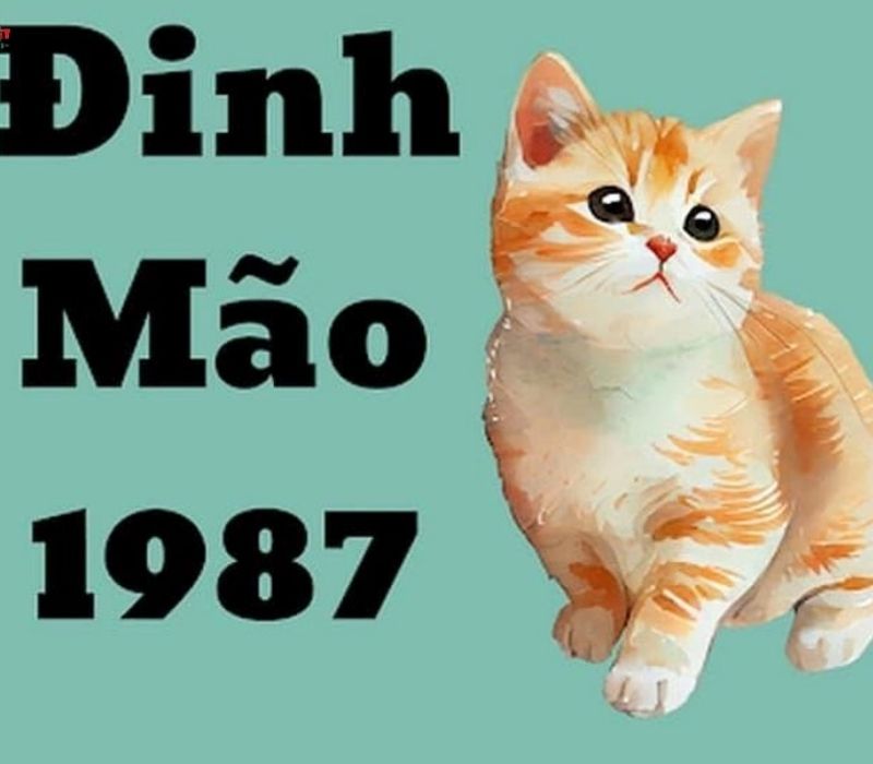 tu-vi-tuoi-dinh-mao-1987-2