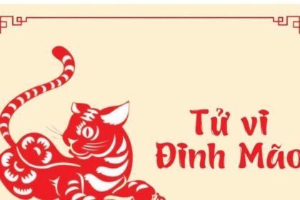 tu-vi-tuoi-dinh-mao-1987