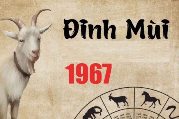 tu-vi-tuoi-dinh-mui-1967