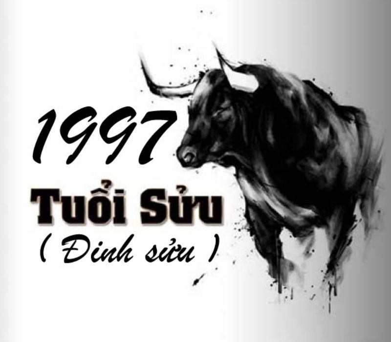 tu-vi-tuoi-dinh-suu-1997-1