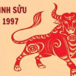 tu-vi-tuoi-dinh-suu-1997