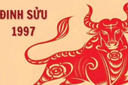 tu-vi-tuoi-dinh-suu-1997