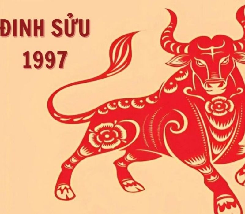 tu-vi-tuoi-dinh-suu-1997