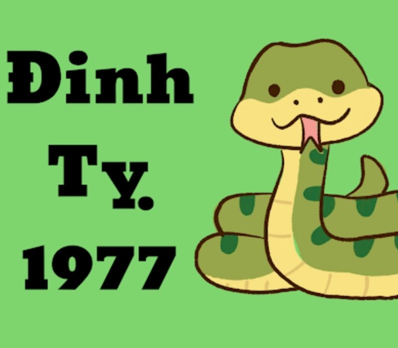 tu-vi-tuoi-dinh-ty-1977-1