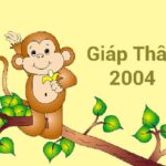 tu-vi-tuoi-giap-than-2004