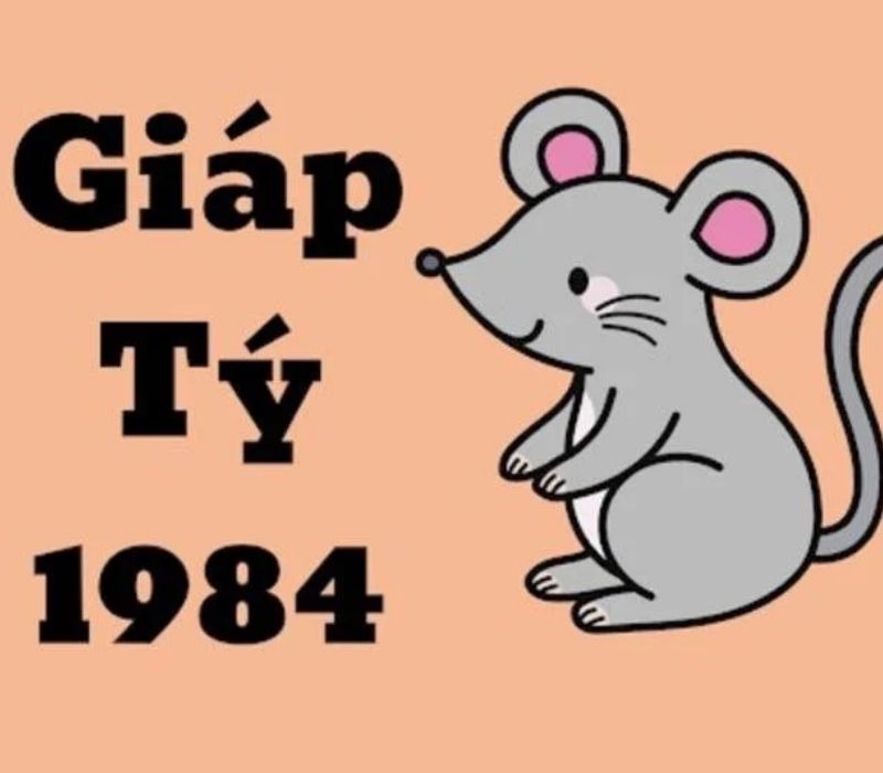 tu-vi-tuoi-giap-ty-1984-1