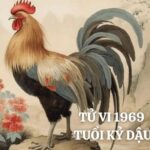 tu-vi-tuoi-ky-dau-1969