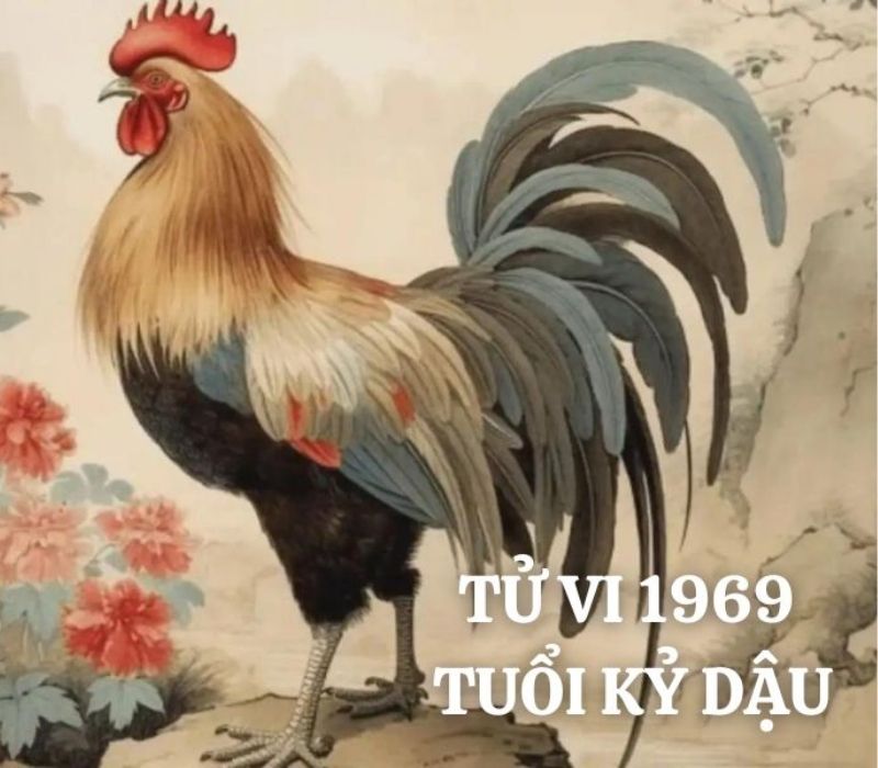 tu-vi-tuoi-ky-dau-1969