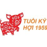 tu-vi-tuoi-ky-hoi-1959