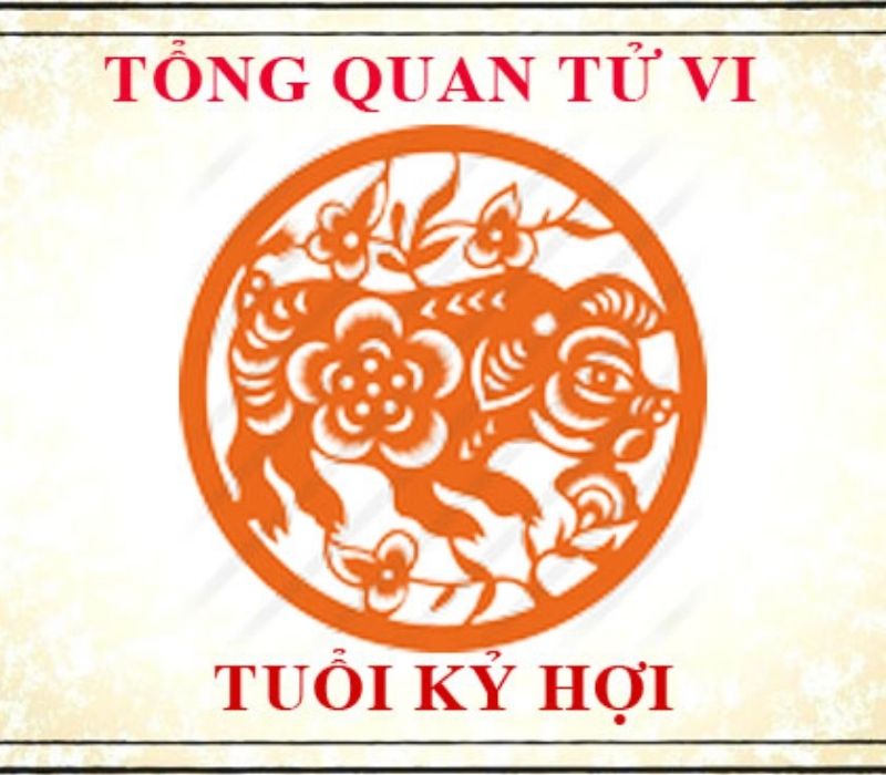 tu-vi-tuoi-ky-hoi-2019-1