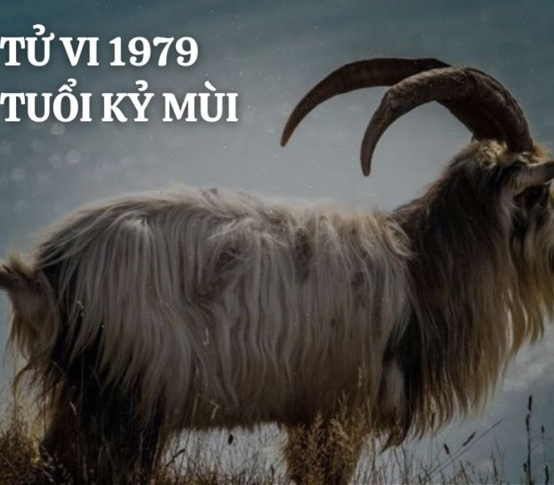 tu-vi-tuoi-ky-mui-1979-2