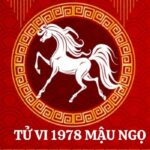 tu-vi-tuoi-mau-ngo-1978