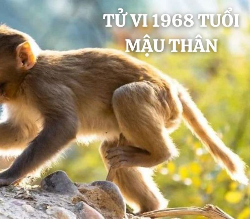 tu-vi-tuoi-mau-than-1968-2