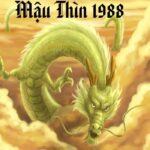 tu-vi-tuoi-mau-thin-1988