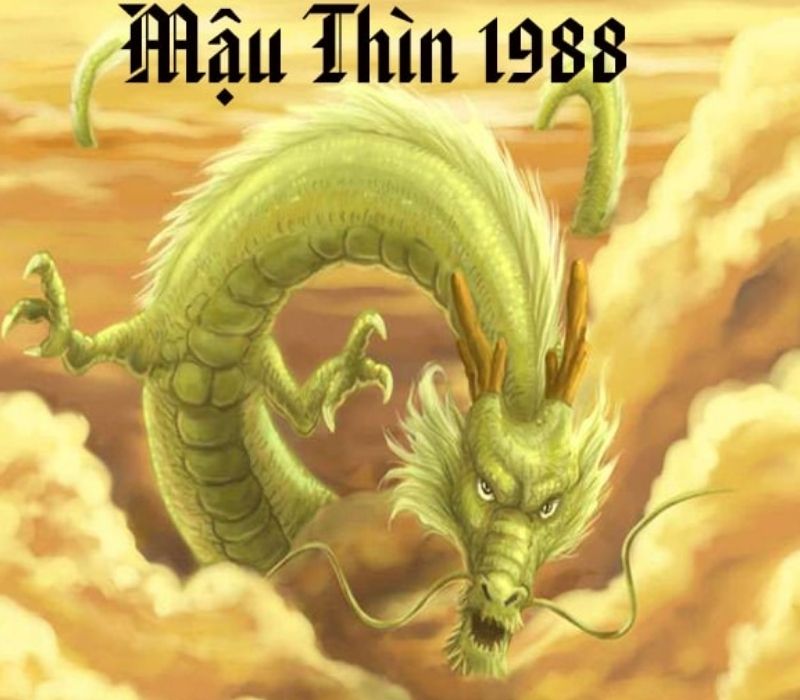 tu-vi-tuoi-mau-thin-1988