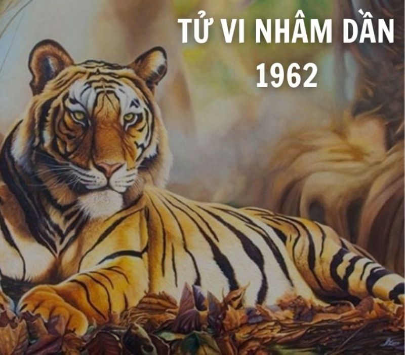 tu-vi-tuoi-nham-dan-1962