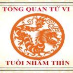 tu-vi-tuoi-nham-thin-2012