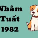 tu-vi-tuoi-nham-tuat-1982