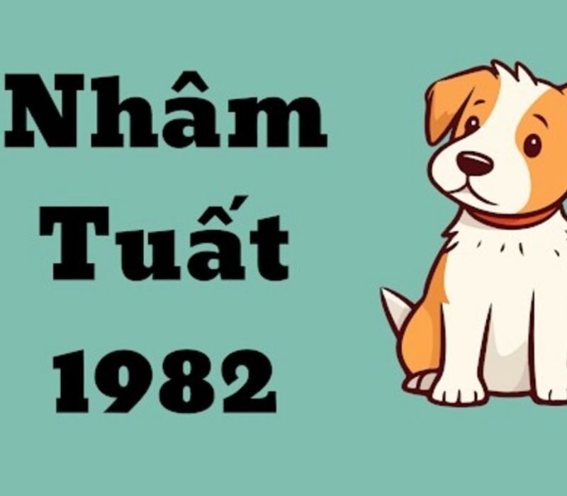 tu-vi-tuoi-nham-tuat-1982