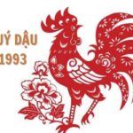 tu-vi-tuoi-quy-dau-1993