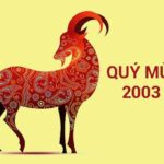 tu-vi-tuoi-quy-mui-2003