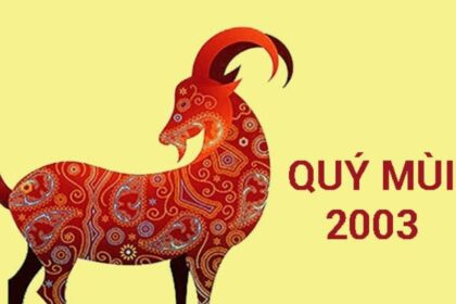 tu-vi-tuoi-quy-mui-2003