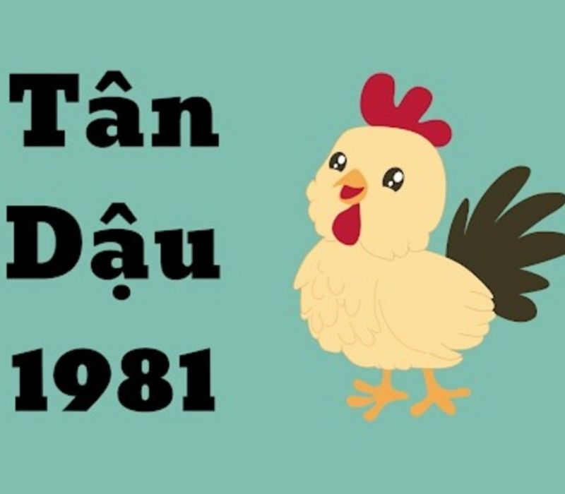 tu-vi-tuoi-tan-dau-1981-1