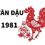 tu-vi-tuoi-tan-dau-1981