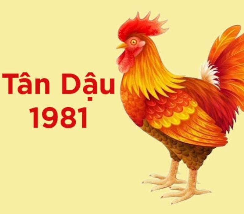 tu-vi-tuoi-tan-dau-1981-2