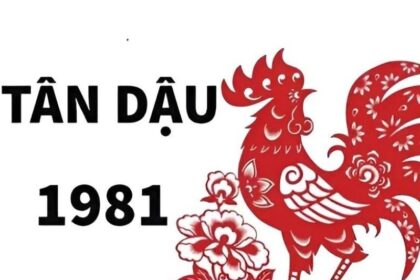 tu-vi-tuoi-tan-dau-1981