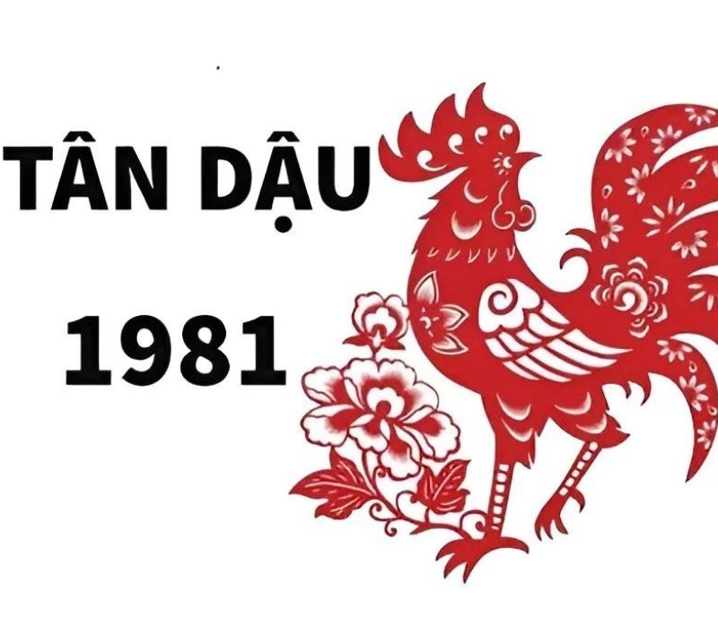 tu-vi-tuoi-tan-dau-1981