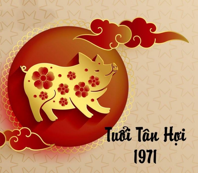 tu-vi-tuoi-tan-hoi-1971-1