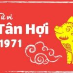 tu-vi-tuoi-tan-hoi-1971