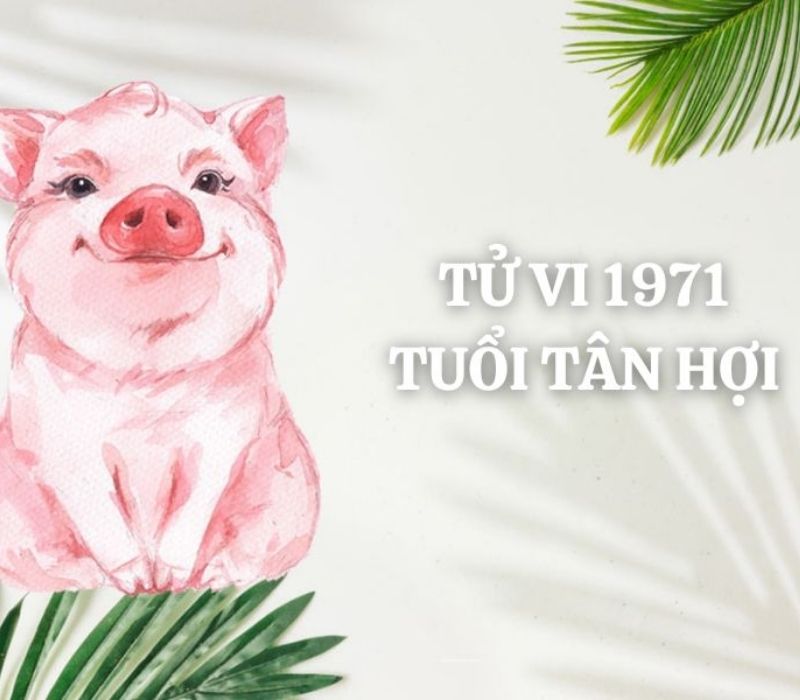 tu-vi-tuoi-tan-hoi-1971-2