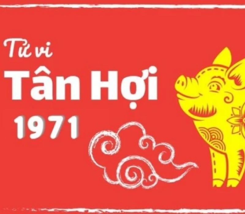 tu-vi-tuoi-tan-hoi-1971