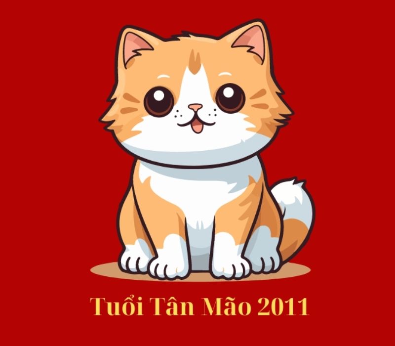 tu-vi-tuoi-tan-mao-2011-2