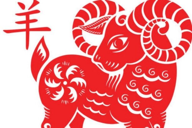 tu-vi-tuoi-tan-mui-1991